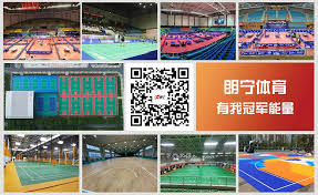 Image result for Eye Badminton Club