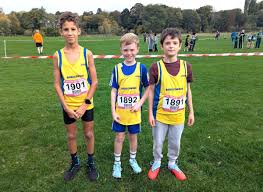 Image result for Biggleswade Ac