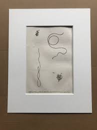 Attēlu rezultāti vaicājumam “Gordius aquaticus”