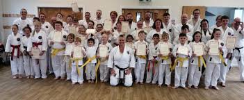 Image result for Alleyn School Of Japanese Karate