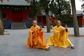 Image result for Shaolin Nam Pai Chuan Kung Fu - Manchester Martial Arts Centre