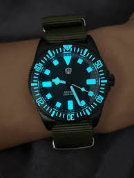 Image result for Exdive