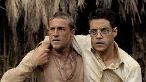 Image result for papillon