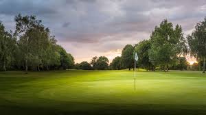 Image result for Henley Golf Club