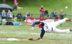 Image result for Herts Falcons