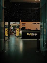 Image result for Gymmagic