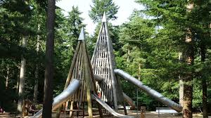 Image result for Go Ape! Thetford