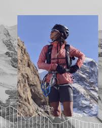 Image result for mountain top seashell