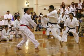 Image result for Excalibur Shotokan Karate Club