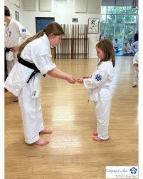 Image result for Aylesbury Vale Seido Karate