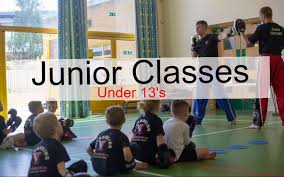 Image result for Midlands PKA Kickboxing