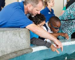 Image result for South Axholme Sharks Asc