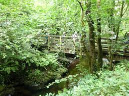 Image result for Coventry Ramblers