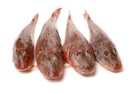 Image result for Chelidonichthys cuculus