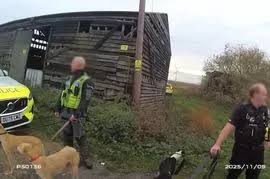 Image result for Longstanton Grasshoppers Cc