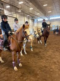 Image result for Elstead Riding Club