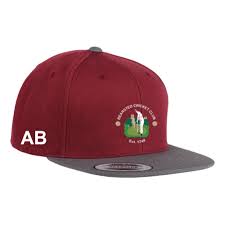 Image result for Bearsted Cricket Club