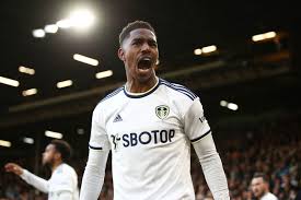 Image result for Leeds juniors afc