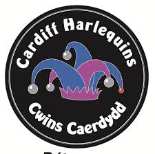 Image result for Cardiff Harlequins