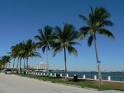 Tour Miami Shores, Florida