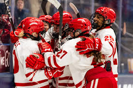 Image result for Reddish Green Ladies Hockey Club
