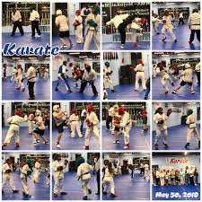 Image result for Imi Jishin Ryou karate do