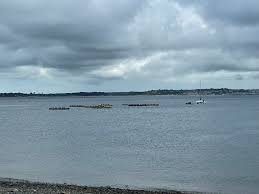 Image result for Zennor Gig Club (Penzance)