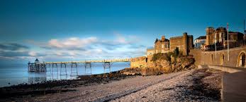 Image result for Clevedon Cc