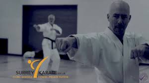 Image result for Haslemere Karate Club