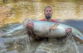 Image result for Garstang A S C