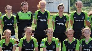 Image result for Taunton Deane Cricket Club