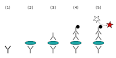 300px-ELISA-sandwich.svg.png