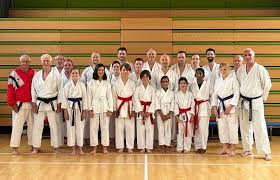 Image result for Haxby karate club