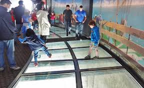 Image result for cn tower glass floor