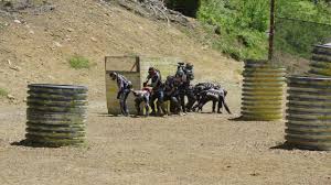 Image result for Cracking Day Paintball, Hampshire