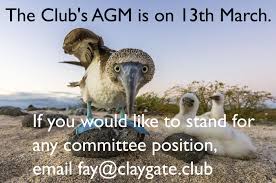 Image result for Claygate Bridge Club