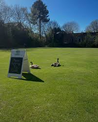 Image result for Albert Bowling Club