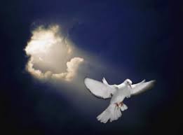 Holy spirit dove