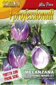 Afbeeldingsresultaat voor melanzana prosperosa eggplant