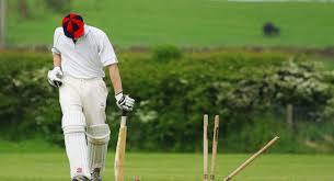 Image result for Buxted Park Cricket Club