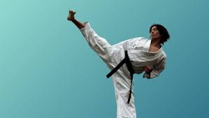 Image result for Intelligent Martial Arts