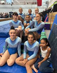 Image result for Tolworth Gymnastics Club