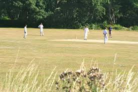 Image result for Shepherdswell Cricket Club