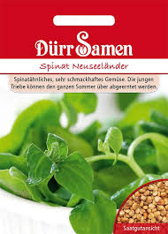 Image result for Neuseeländer Salat
