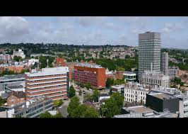 Image result for University of Sheffield Ultimate- Phat 'eds