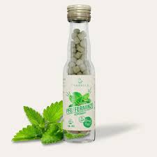 Image result for Pfefferminze