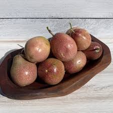 Attēlu rezultāti vaicājumam “Linaria loeselii fruit”