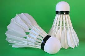 Image result for Greenmeadow Badminton Club