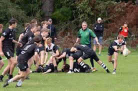 Image result for Royston Rufc