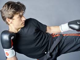 Image result for Guerrero Martial Arts